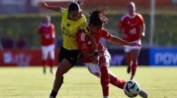 بسبب المنتخب.. اتحاد الكرة يقرر تجميد دوري السيدات عقب الجولة الـ20 مباشرة